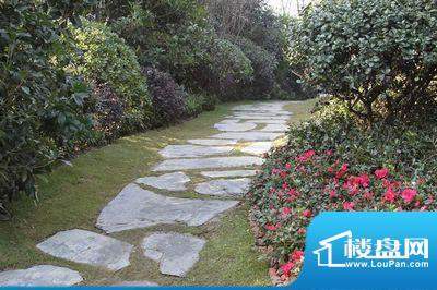 龙湖原山配套图