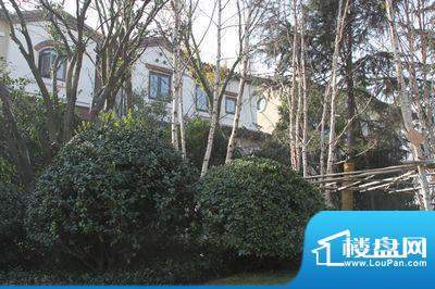 龙湖原山配套图