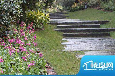 龙湖原山配套图