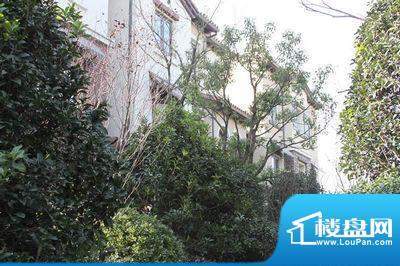 龙湖原山配套图