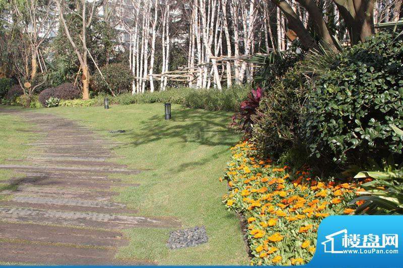 龙湖原山配套图