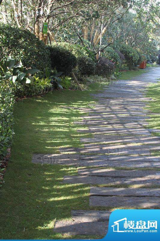 龙湖原山配套图