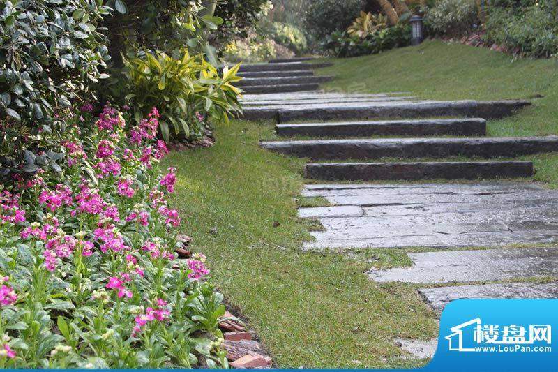 龙湖原山配套图