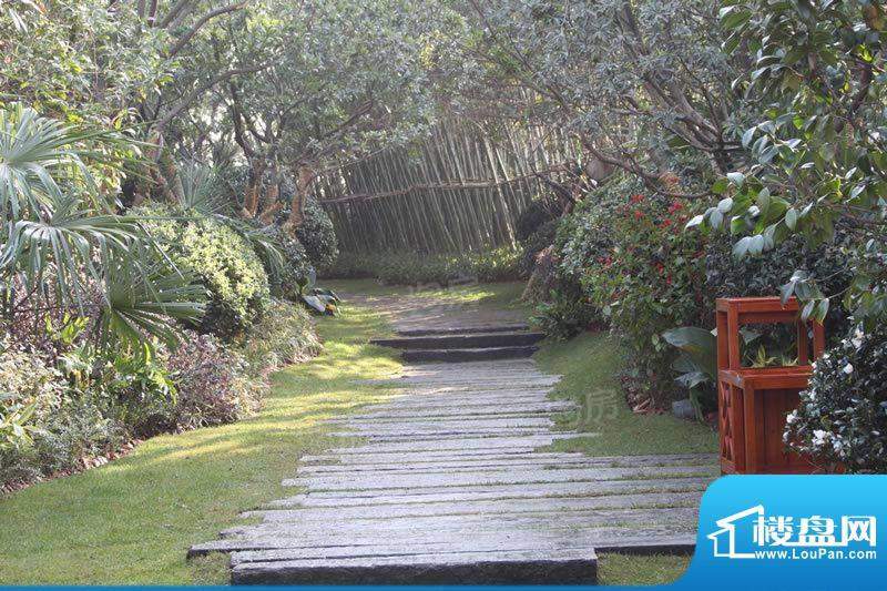 龙湖原山配套图