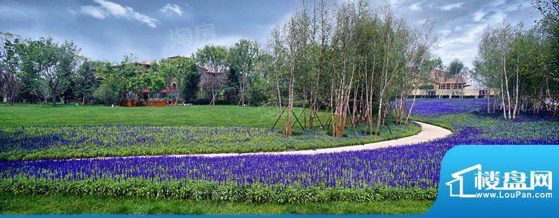 龙湖原山配套图