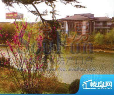 天目湖金桥国际配套图