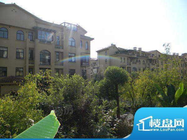 格兰艺堡配套图