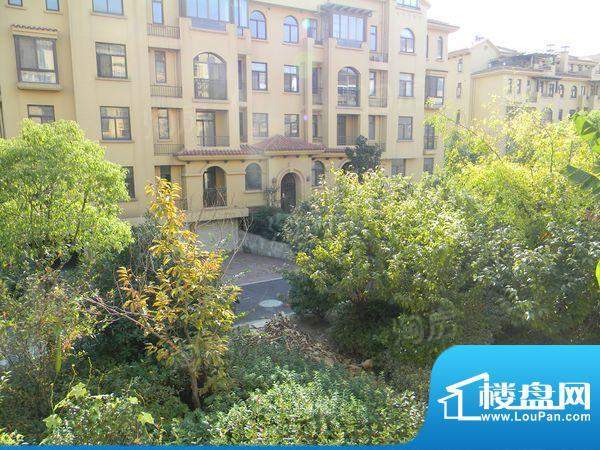 格兰艺堡配套图