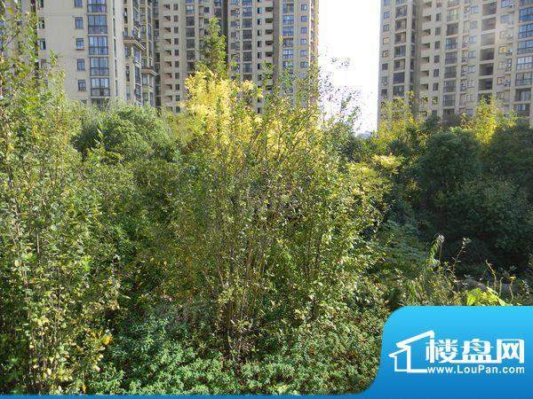 格兰艺堡配套图