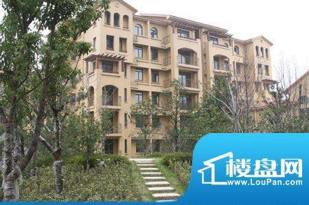 格兰艺堡配套图