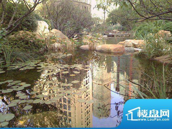 新城首府配套图