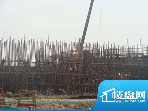 东渡海派青城配套图
