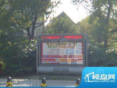 香树湾花园别墅配套图