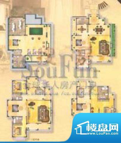 户型图片