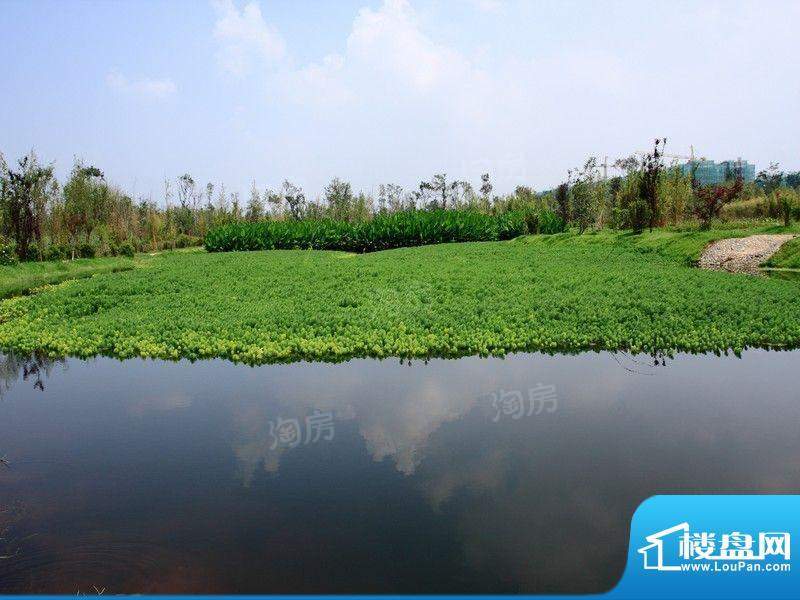 俊发·滇池ONE配套图