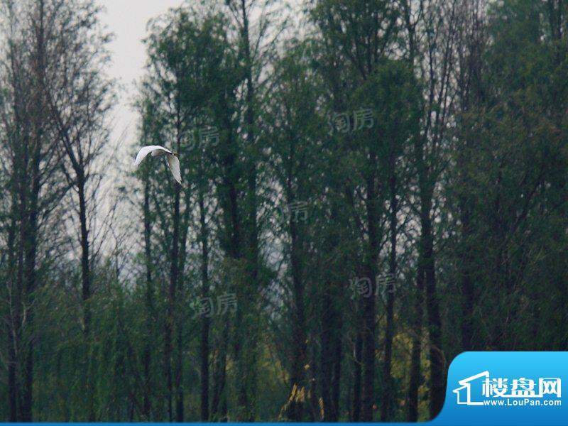 俊发·滇池ONE配套图