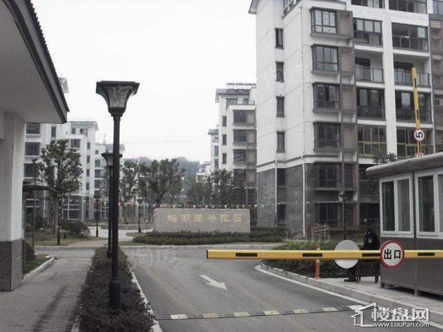 鹅湖一号
