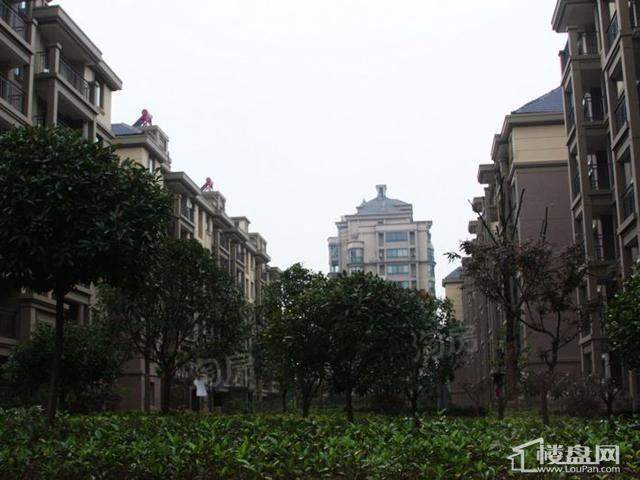 冠达豪景东苑配套图