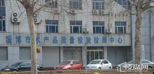 大泰·齐赛家园 配套图