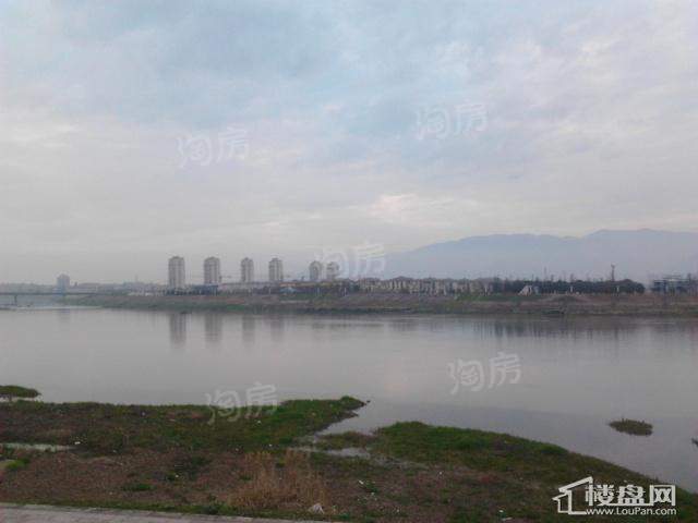 紫金湾配套图