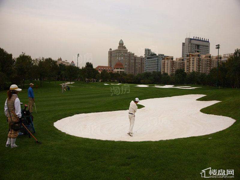 合生君景湾配套图