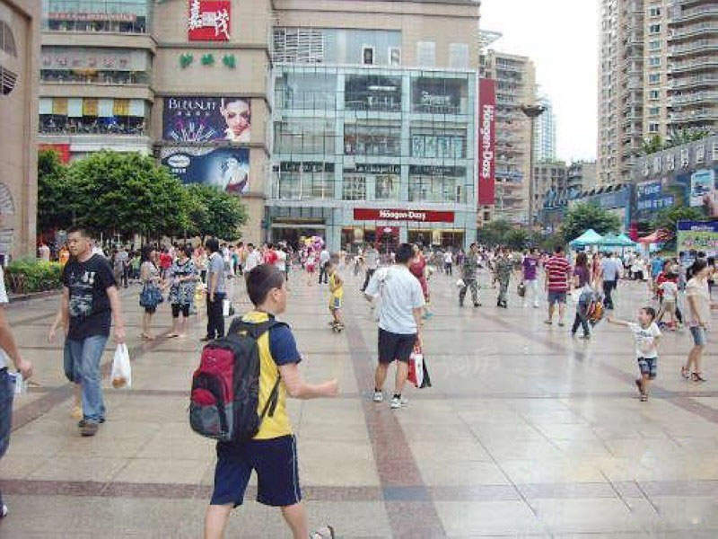 实景图