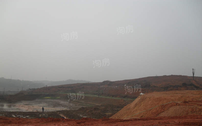 金桥国际实景图