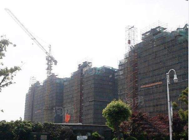新虹桥君悦湾实景图