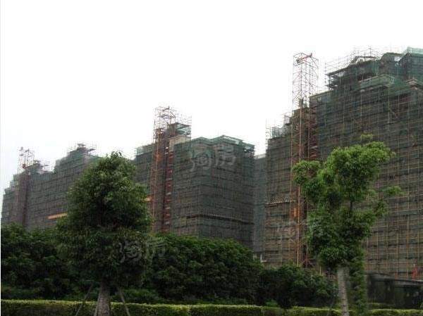 实景图