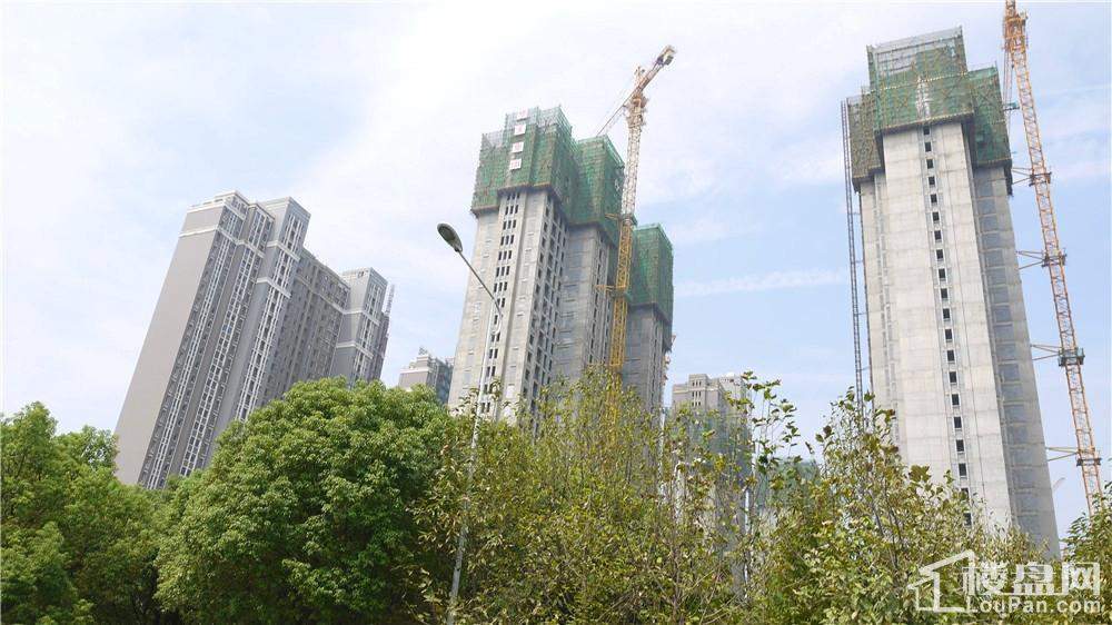 观澜国际实景图