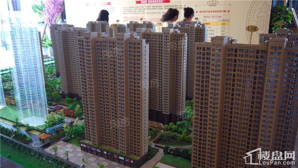 观澜国际实景图
