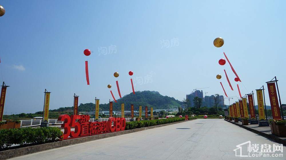 惠州星河丹堤实景图