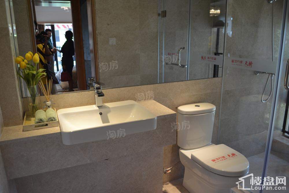 惠州星河丹堤样板间