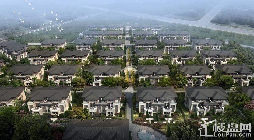 龙湾府效果图