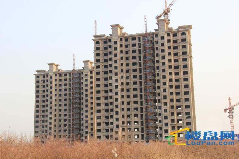 十地金隅园实景图