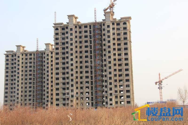 十地金隅园实景图