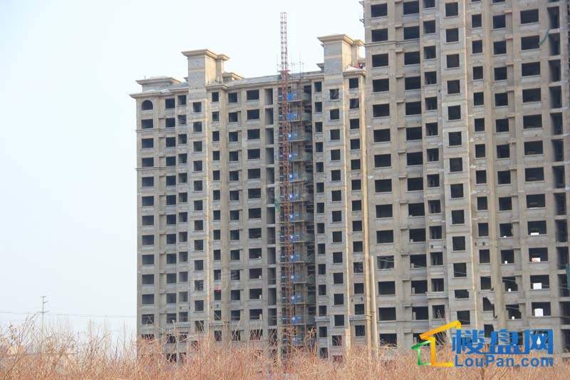 十地金隅园实景图