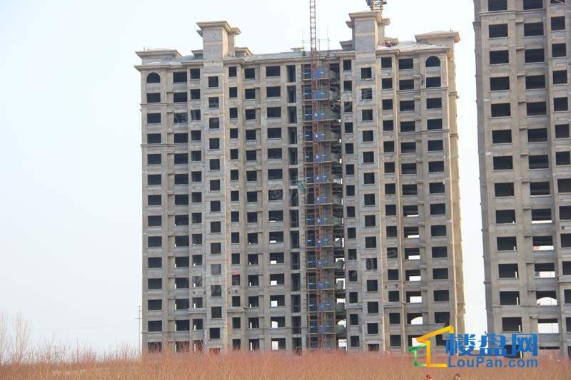 十地金隅园实景图