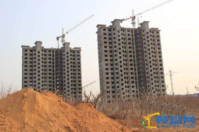 十地金隅园实景图