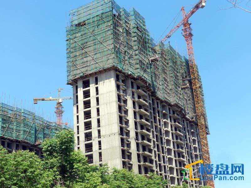 北大锦城实景图
