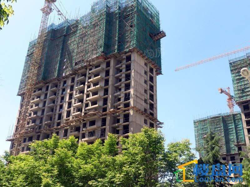 北大锦城实景图
