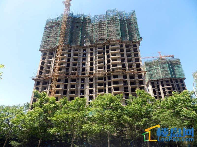 北大锦城实景图