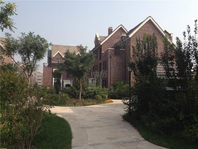 天保美墅林实景图