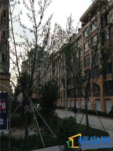 恒信首府实景图