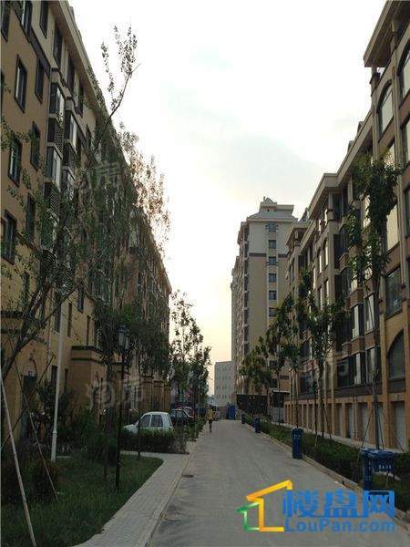 恒信首府实景图
