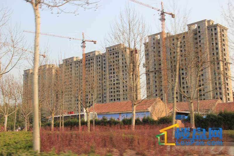 华安欣诚家园实景图