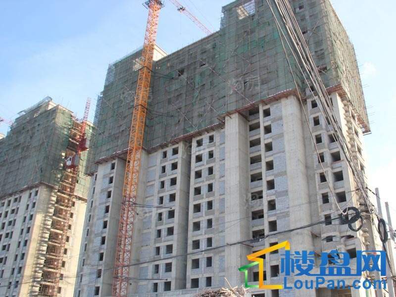 华安欣诚家园实景图