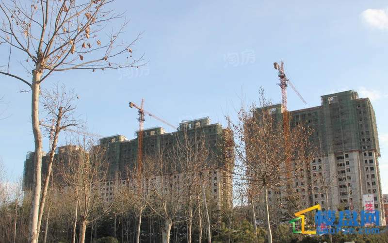 华安欣诚家园实景图
