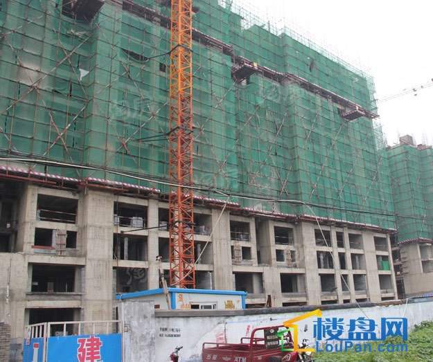 华安欣诚家园实景图