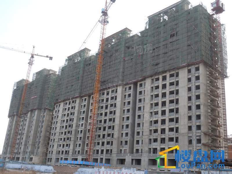 华安欣诚家园实景图